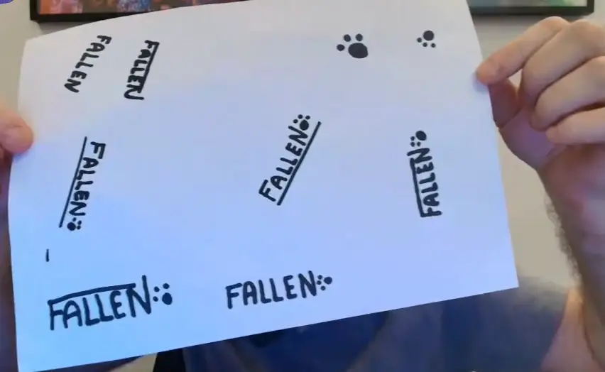 FalleN хочет оставить