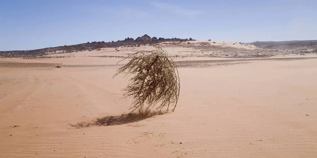 Valve - натуральные абьюзеры! Разработчики делают все, чтобы ждать 7.40 было тяжелее