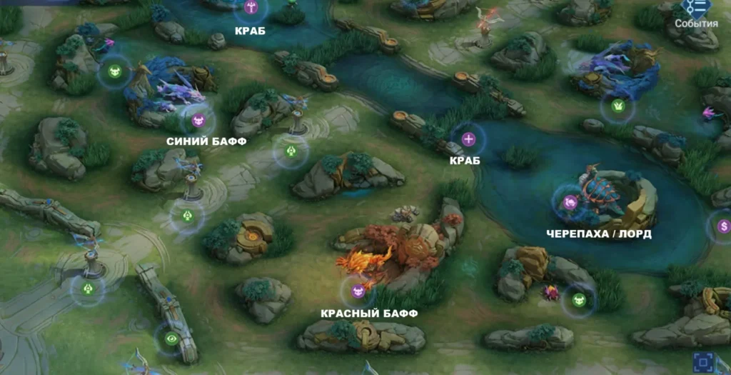 Расположение баффов в лесу MLBB