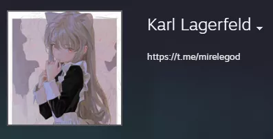 Профиль: Mirele. Играл в команде TpaBoMaH, а еще у него 1600 матчей на Расте