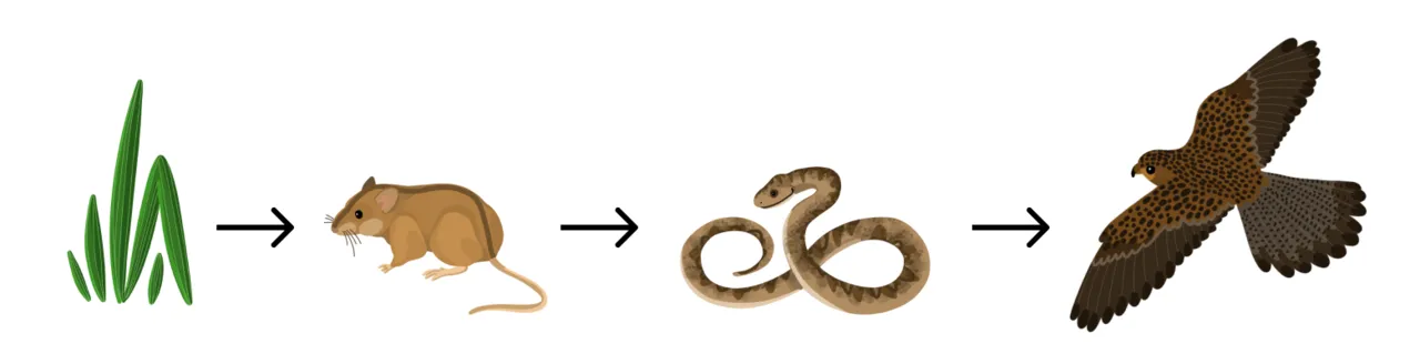 Вы не хотите попасть в Immortal-драфт. Вы ТОЧНО этого не хотите