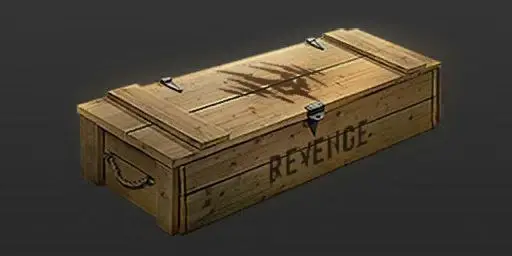 Revenge Case