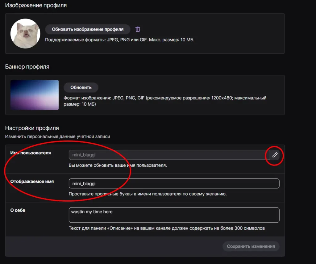 Как сменить ник на Твиче?