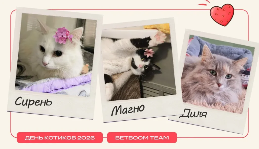 Игроки BetBoom Team взяли под опеку питомцев из котокафе и сообщили о поиске дома для животных