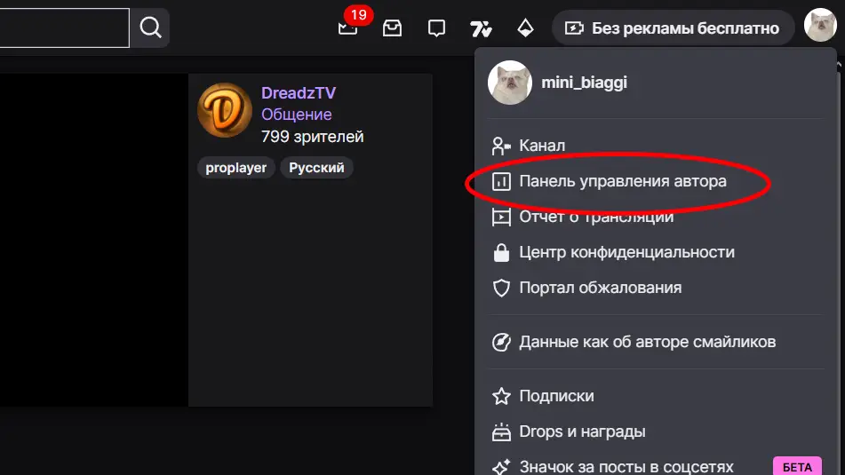 Где найти ключ потока на Твиче: гайд с картинками