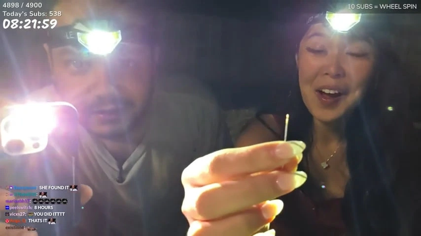 Стримеры искали иголку в стоге сена 8 часов: «Она просто лежала на земле»