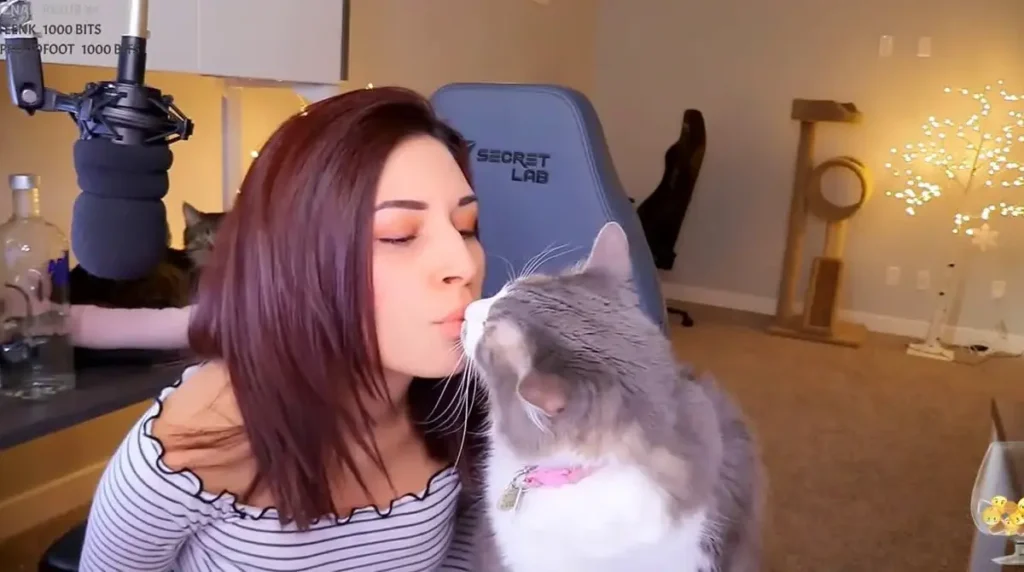 7 стримеров, разрушивших свои репутации по глупости